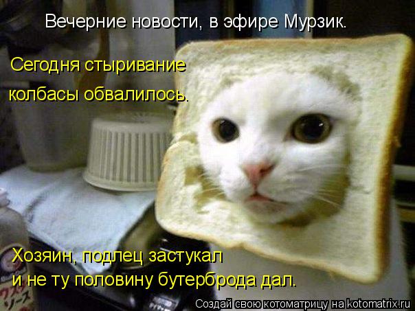Вечерние новости, в эфире Мурзик. Сегодня стыривание колбасы обвалилось. Хозяин, подлец застукал и не... Котоматрица: Вечерние новости, в эфире Мурзик. Сегодня стыривание колбасы обвалилось. Хозяин, подлец застукал и не ту половину бутерброда дал.