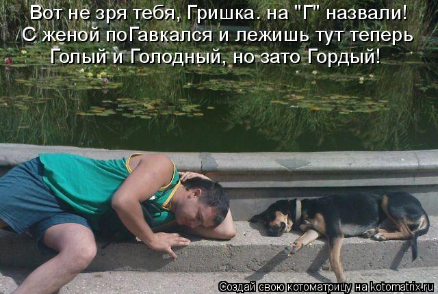 Котоматрица: Вот не зря тебя, Гришка. на "Г" назвали! С женой поГавкался и лежишь тут теперь Голый и Голодный, но зато Гордый!