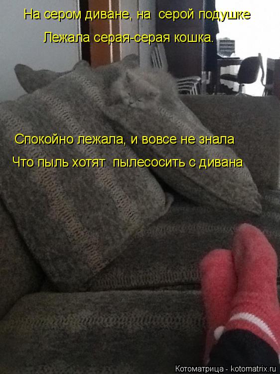 Котоматрица: На сером диване, на  серой подушке Лежала серая-серая кошка. Спокойно лежала, и вовсе не знала Что пыль хотят  пылесосить с дивана