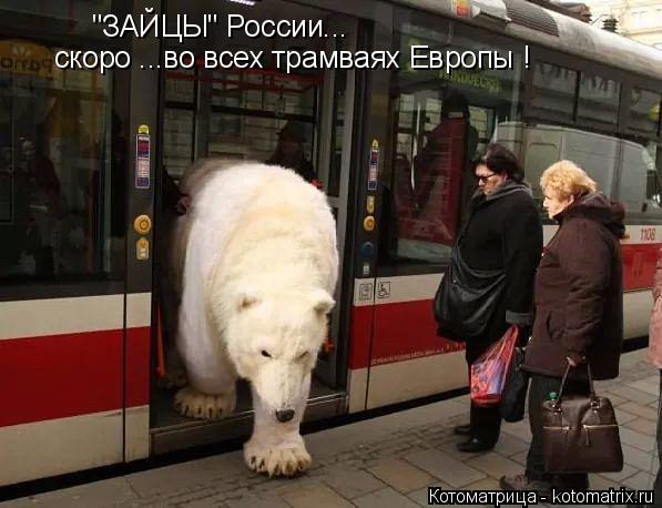 "ЗАЙЦЫ" России... скоро ...во всех трамваях Европы !... Котоматрица: "ЗАЙЦЫ" России... скоро ...во всех трамваях Европы !
