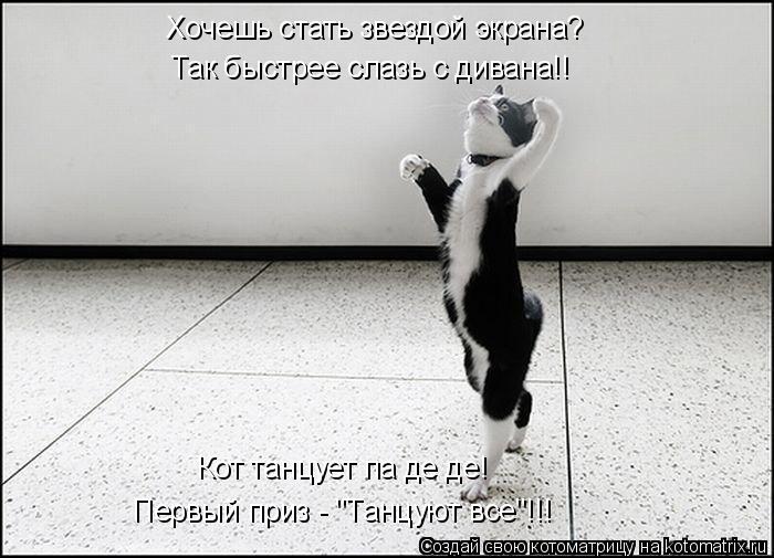 Котоматрица: Хочешь стать звездой экрана? Так быстрее слазь с дивана!! Кот танцует па де де! Первый приз - "Танцуют все"!!!