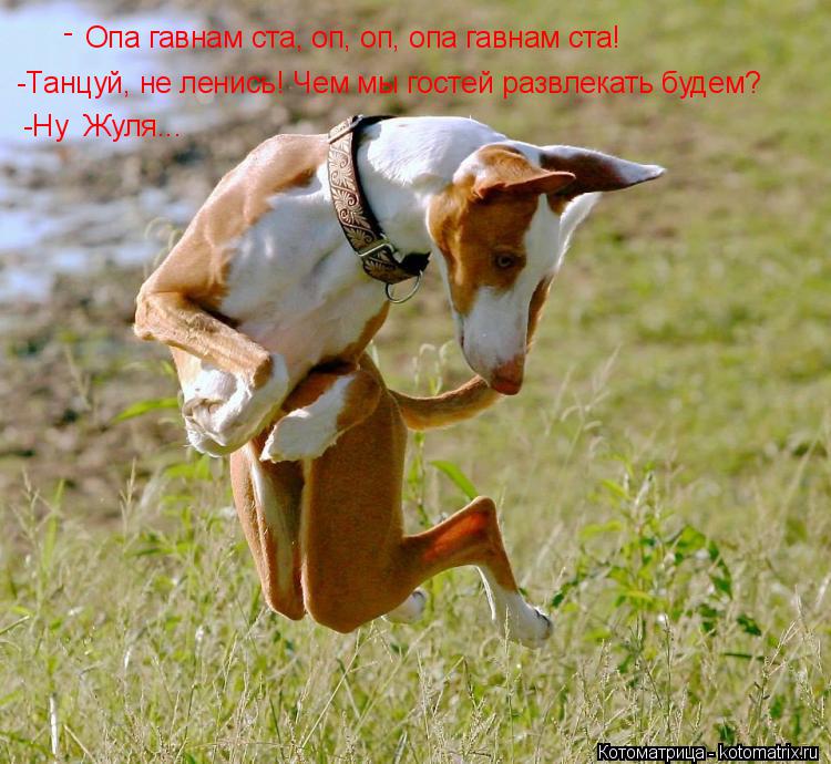 Опа гавнам ста, оп, оп, опа гавнам ста ! -Танцуй, не ленись! Чем мы гостей развлекать будем? - -Ну Ж... Котоматрица: Опа гавнам ста, оп, оп, опа гавнам ста ! -Танцуй, не ленись! Чем мы гостей развлекать будем? - -Ну Жуля...