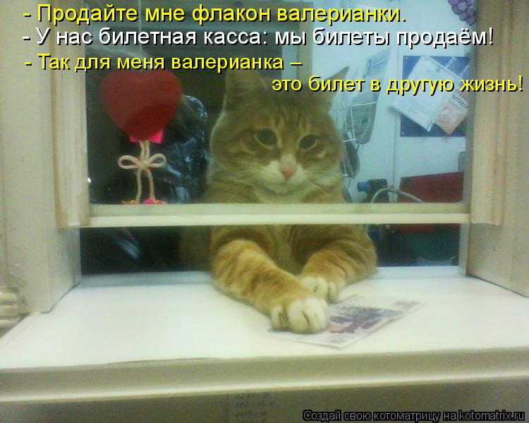 Котоматрица: - Продайте мне флакон валерианки. - У нас билетная касса: мы билеты продаём! - Так для меня валерианка –  это билет в другую жизнь!