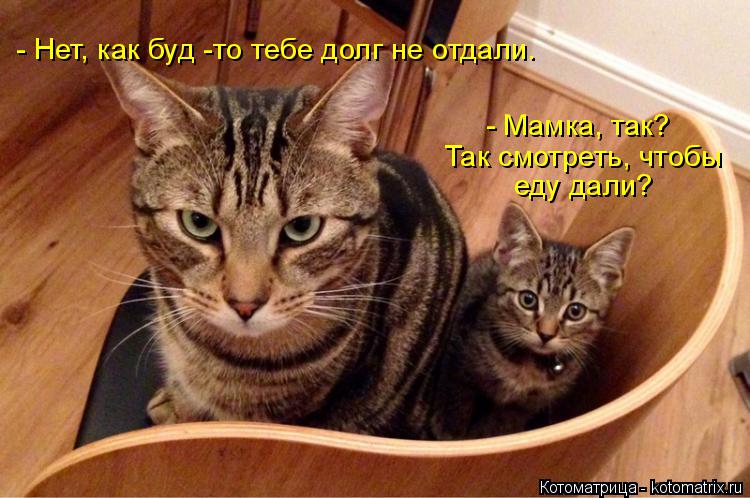 Котоматрица: - Мамка, так? Так смотреть, чтобы  еду дали? - Нет, как буд -то тебе долг не отдали.