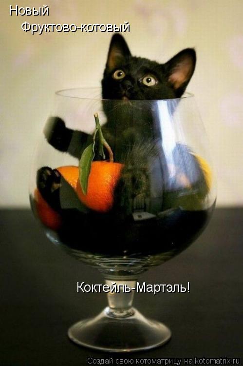 Новый Фруктово-котовый Коктейль-Мартэль!... Котоматрица: Новый Фруктово-котовый Коктейль-Мартэль!