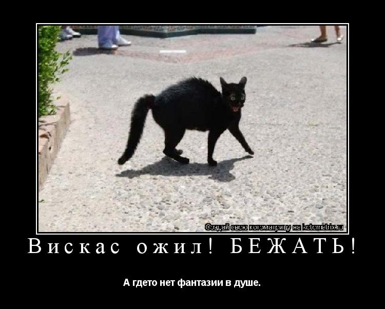 Котоматрица: Вискас ожил! БЕЖАТЬ! А гдето нет фантазии в душе.