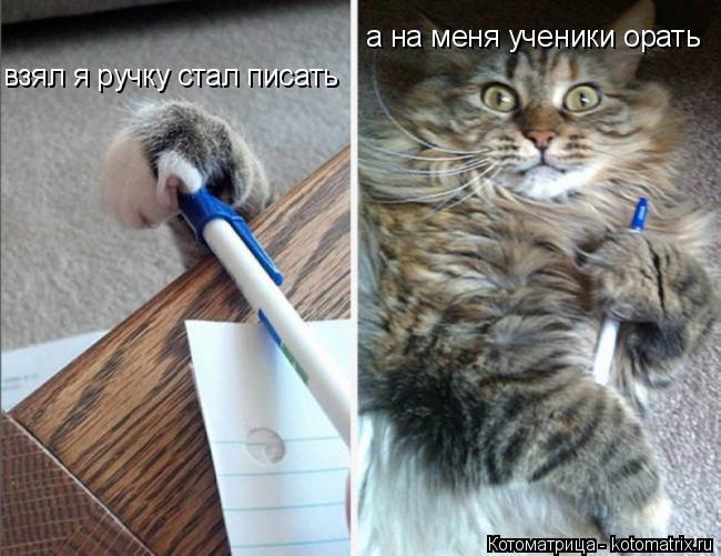 Котоматрица: взял я ручку стал писать  а на меня ученики орать