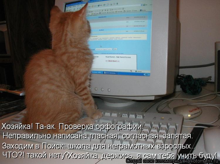 Котоматрица: Неправильно написана гласная, согласная, запятая. Хозяйка! Та-ак. Проверка орфографии. Заходим в Поиск: школа для неграмотных взрослых.. ЧТО?