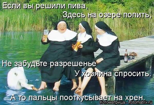 Котоматрица: Если вы решили пива, Здесь на озере попить, Не забудьте разрешенье У хозяина спросить. А то пальцы пооткусывает на хрен.