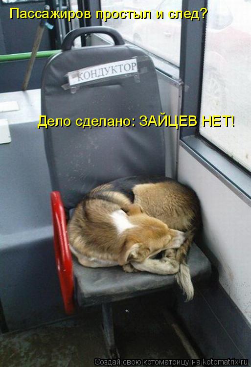 Котоматрица: Пассажиров простыл и след? Дело сделано: ЗАЙЦЕВ НЕТ!