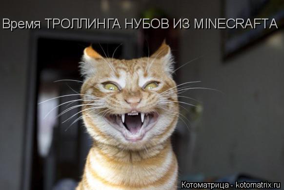 Котоматрица: Время ТРОЛЛИНГА НУБОВ ИЗ MINECRAFTА