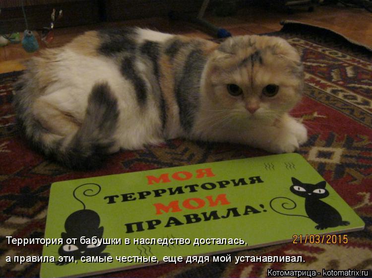 Котоматрица: Территория от бабушки в наследство досталась, а правила эти, самые честные, еще дядя мой устанавливал.