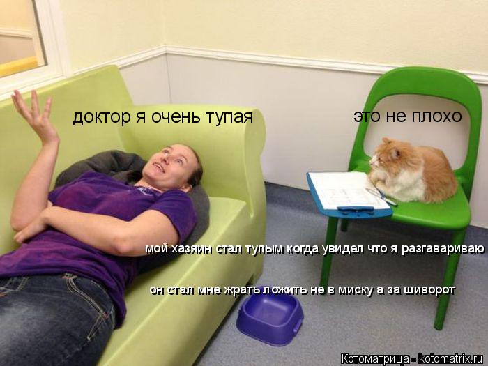 Котоматрица: доктор я очень тупая это не плохо мой хазяин стал тупым когда увидел что я разгавариваю он стал мне жрать ложить не в миску а за шиворот