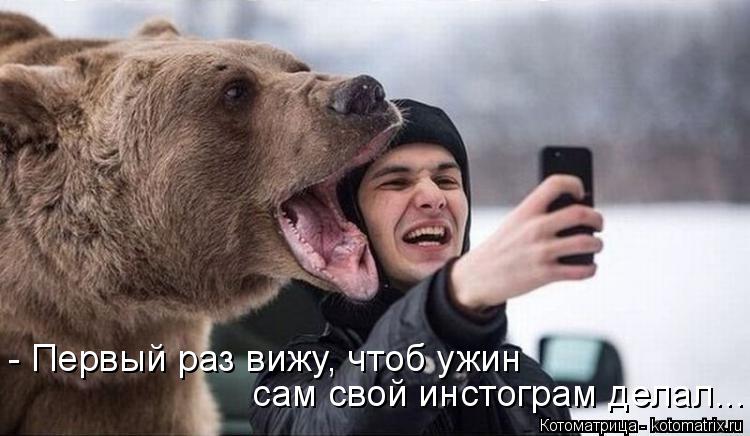 Котоматрица: - Первый раз вижу, чтоб ужин  сам свой инстограм делал...