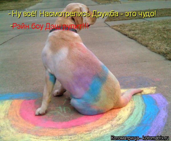 Котоматрица: Ну всё! Насмотрелись Дружба - это чудо!  -  Рэйн боу Дэш рулит!!!  -