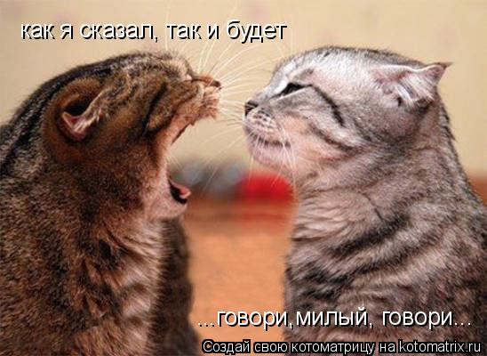 Котоматрица: ...говори,милый, говори... как я сказал, так и будет