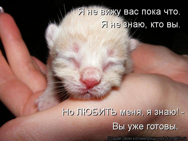 Котоматрица: Я не вижу вас пока что. Я не знаю, кто вы. Но ЛЮБИТЬ меня, я знаю! -  Вы уже готовы.