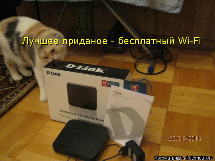 Котоматрица: Лучшее приданое - бесплатный Wi-Fi