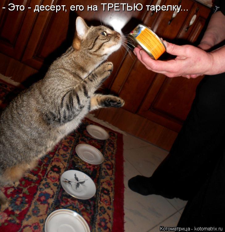 - Это - десерт, его на ТРЕТЬЮ тарелку...... Котоматрица: - Это - десерт, его на ТРЕТЬЮ тарелку...