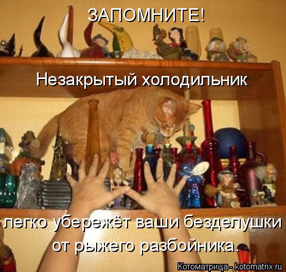 Котоматрица: ЗАПОМНИТЕ! Незакрытый холодильник легко убережёт ваши безделушки от рыжего разбойника.