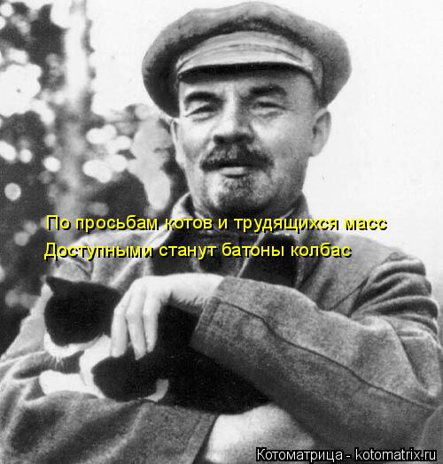 Котоматрица: По просьбам котов и трудящихся масс Доступными станут батоны колбас