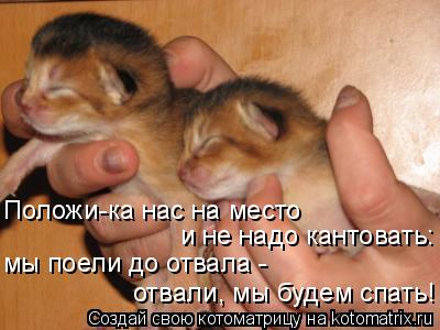 Котоматрица: Положи-ка нас на место отвали, мы будем спать! и не надо кантовать: мы поели до отвала -