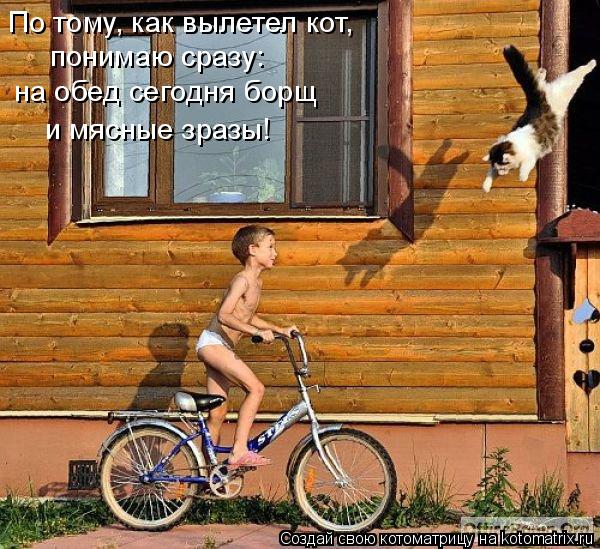 Котоматрица: понимаю сразу: на обед сегодня борщ и мясные зразы! По тому, как вылетел кот,