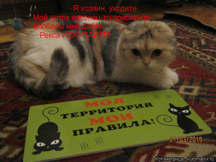-Я хозяин, уходите Колбасы мне дайте, Рекса ИСКУПАЙТЕ! Мой лоток наконец-то приберите... Котоматрица: -Я хозяин, уходите Колбасы мне дайте, Рекса ИСКУПАЙТЕ! Мой лоток наконец-то приберите