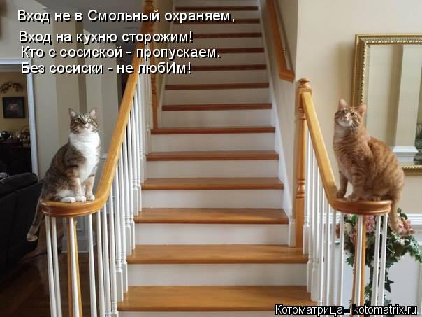 Вход не в Смольный охраняем, Вход на кухню сторожим! Кто с сосиской - пропускаем. Без сосиски - не лю... Котоматрица: Вход не в Смольный охраняем, Вход на кухню сторожим! Кто с сосиской - пропускаем. Без сосиски - не любИм!