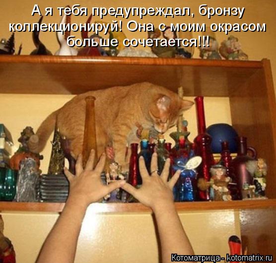 Котоматрица: А я тебя предупреждал, бронзу коллекционируй! Она с моим окрасом больше сочетается!!!
