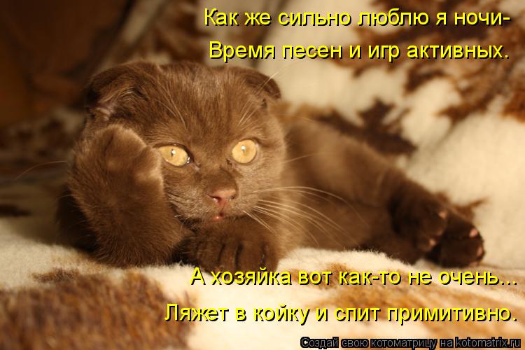 Как же сильно люблю я ночи- Время песен и игр активных. А хозяйка вот как-то не очень... Ляжет в койк... Котоматрица: Как же сильно люблю я ночи- Время песен и игр активных. А хозяйка вот как-то не очень... Ляжет в койку и спит примитивно.