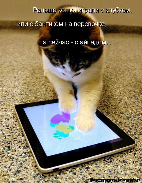 Котоматрица: или с бантиком на веревочке, Раньше кошки играли с клубком, а сейчас - с айпадом...