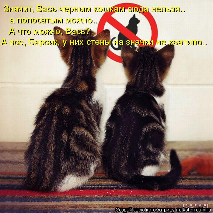 Котоматрица: Значит, Вась черным кошкам сюда нельзя.. а полосатым можно... А что можно, Вась? А все, Барсик, у них стены на значки не хватило..
