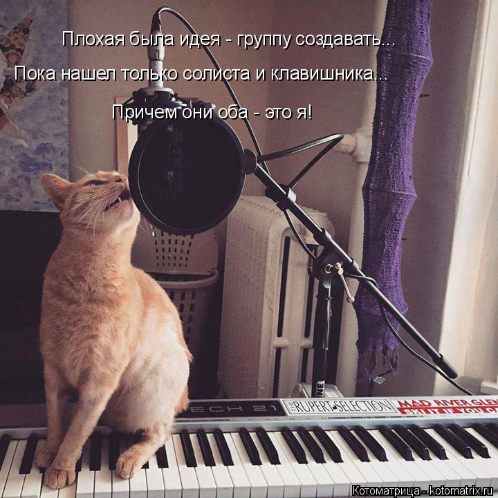 Котоматрица: Плохая была идея - группу создавать... Пока нашел только солиста и клавишника... Причем они оба - это я!