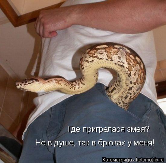 Котоматрица: Где пригрелася змея? Не в душе, так в брюках у меня!