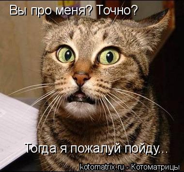 Котоматрица: Вы про меня? Точно? Тогда я пожалуй пойду...