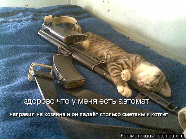 Котоматрица: здорово что у меня есть автомат направил на хозяина и он падаёт столько сметаны и котлет