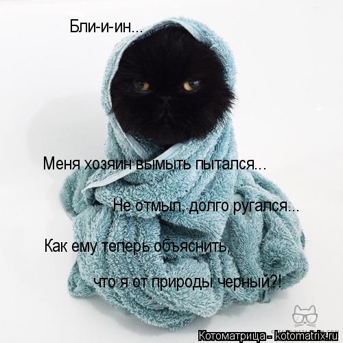 Котоматрица: Бли-и-ин... Меня хозяин вымыть пытался... Не отмыл, долго ругался... Как ему теперь объяснить, что я от природы черный?!