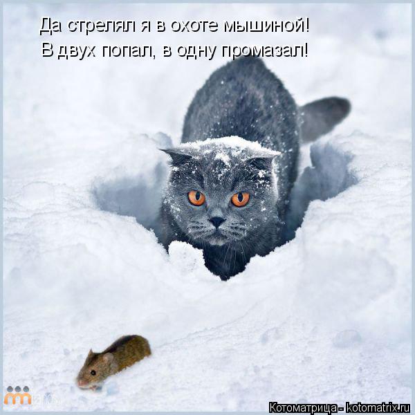 Котоматрица: Да стрелял я в охоте мышиной! В двух попал, в одну промазал!