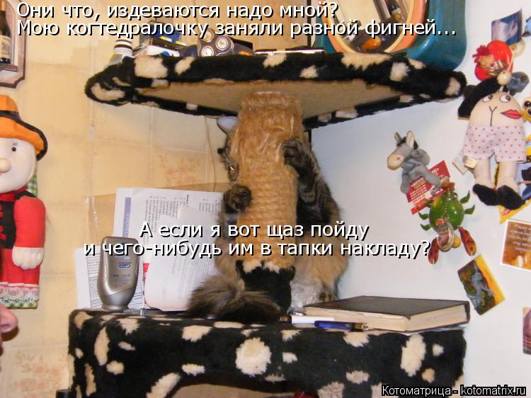 Котоматрица: Они что, издеваются надо мной? Мою когтедралочку заняли разной фигней... А если я вот щаз пойду и чего-нибудь им в тапки накладу?