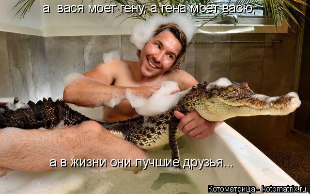 Котоматрица: а  вася моет гену, а гена моет васю, а в жизни они лучшие друзья...