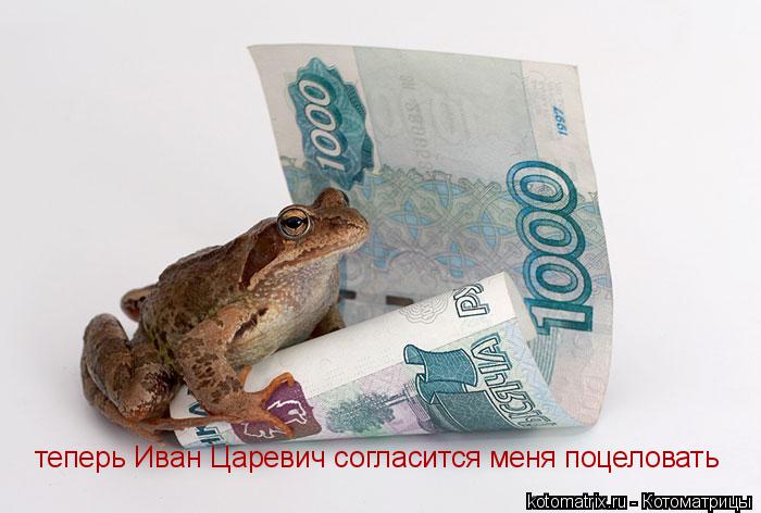Котоматрица: теперь Иван Царевич согласится меня поцеловать