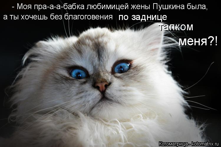 Котоматрица: - Моя пра-а-а-бабка любимицей жены Пушкина была, а ты хочешь без благоговения  по заднице тапком меня?!