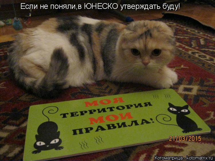 Котоматрица: Если не поняли,в ЮНЕСКО утверждать буду!