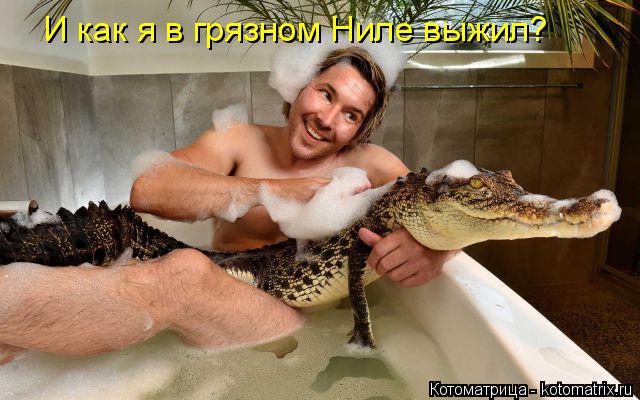 Котоматрица: И как я в грязном Ниле выжил?
