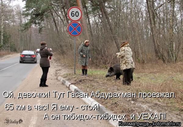 Котоматрица: Ой, девочки! Тут Гасан Абдурахман проезжал,  65 км в час! Я ему - стой! А он тибидох-тибидох, и УЕХАЛ!