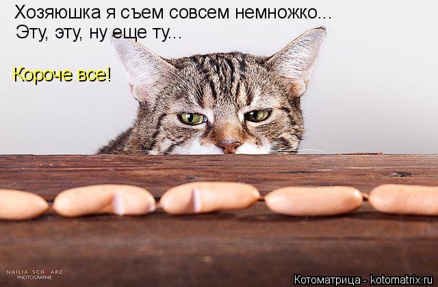 Котоматрица: Хозяюшка я съем совсем немножко... Эту, эту, ну еще ту... Короче все!