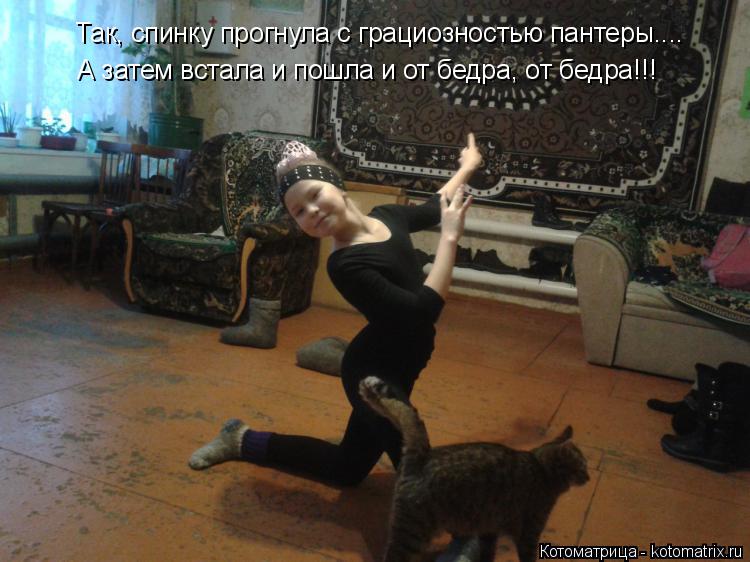 Котоматрица: Так, спинку прогнула с грациозностью пантеры.... А затем встала и пошла и от бедра, от бедра!!!