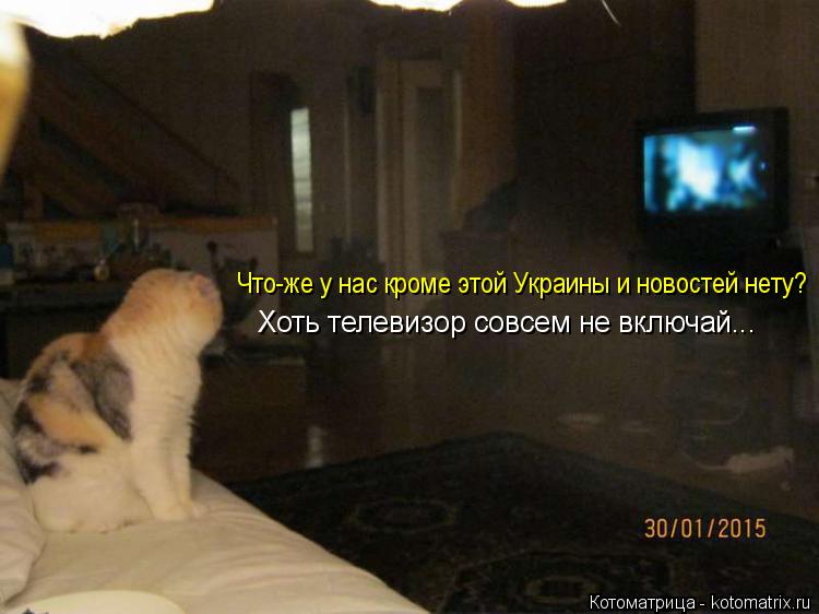 Котоматрица: Что-же у нас кроме этой Украины и новостей нету? Хоть телевизор совсем не включай...