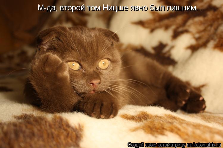 Котоматрица: М-да, второй том Ницше явно был лишним...